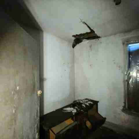 8031 conger (22).jpg